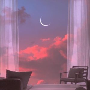 Meet your Posher, Jonel